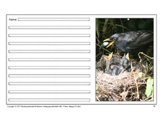 Amsel-eigene-Texte-15.pdf